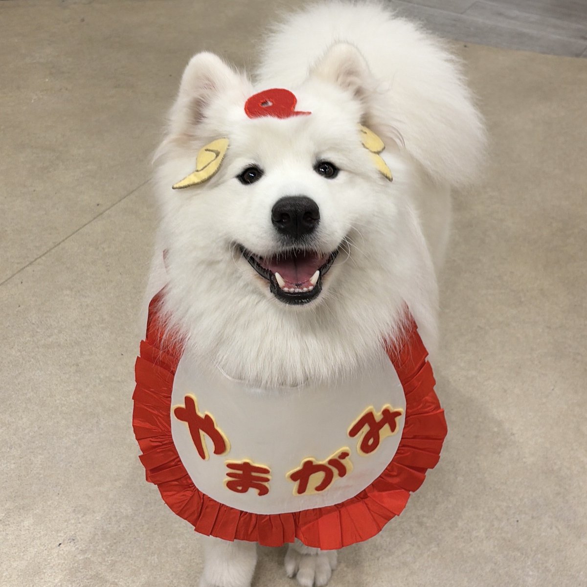 TVアニメ『神の庭付き楠木邸』公式アカウント tweet media