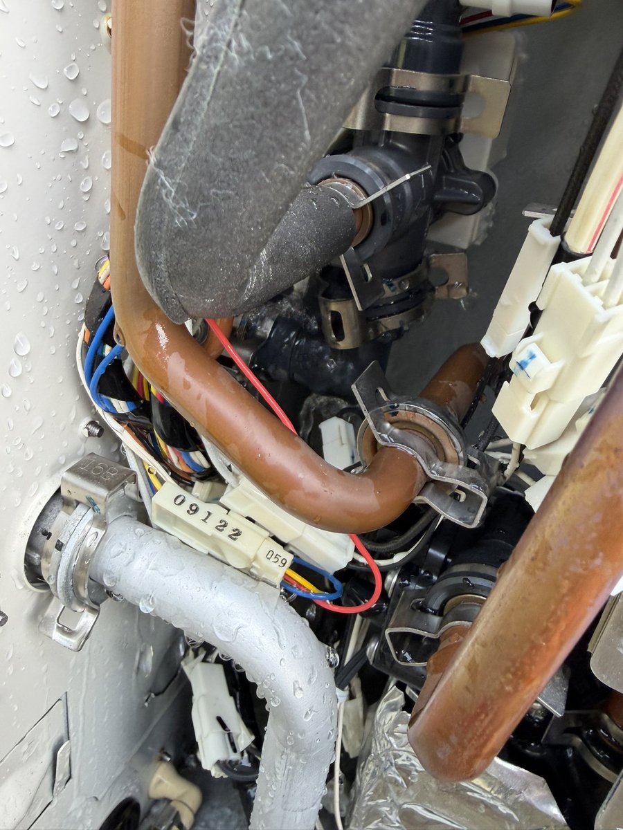 はっちゃん tweet media