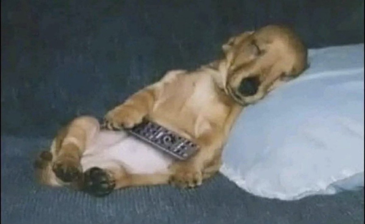 Estoy en esa etapa de mi vida donde las películas me ven a mí: