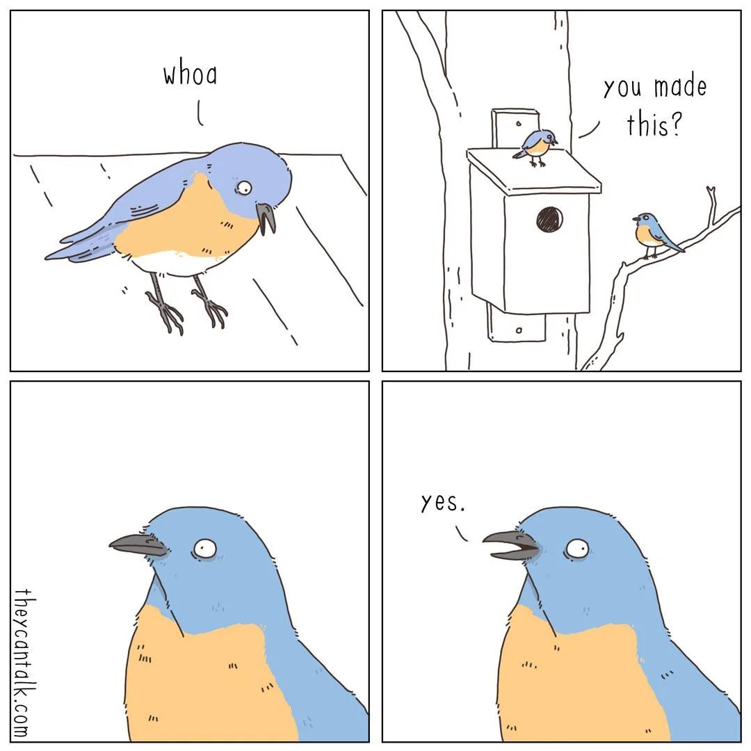 Sami (@Schamsung) / Posts / X