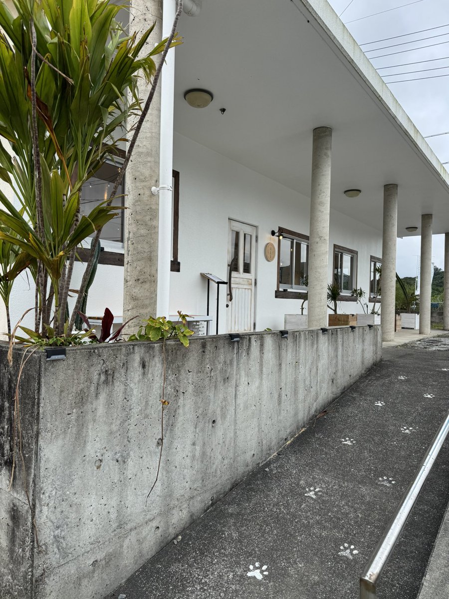 koji oikawa (official) tweet media