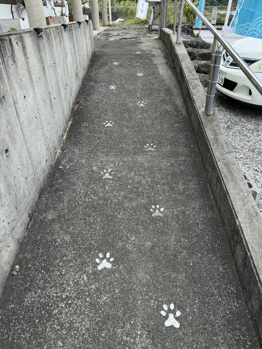 koji oikawa (official) tweet media