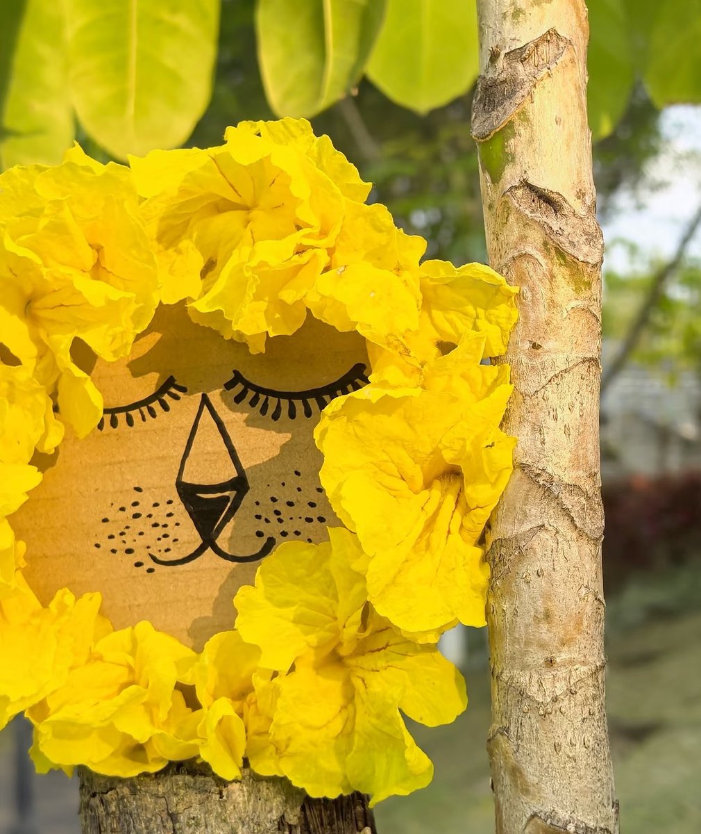 real_time_china's tweet photo. A fun new spring trend—cardboard illustrations!
More and more people are turning simple cardboard into unique works of art. Feeling inspired? Give it a try!
#SpringDiscovery #SpringInChina #DIYCreativity #SpringCrafts https://t.co/42JvJuI7ad