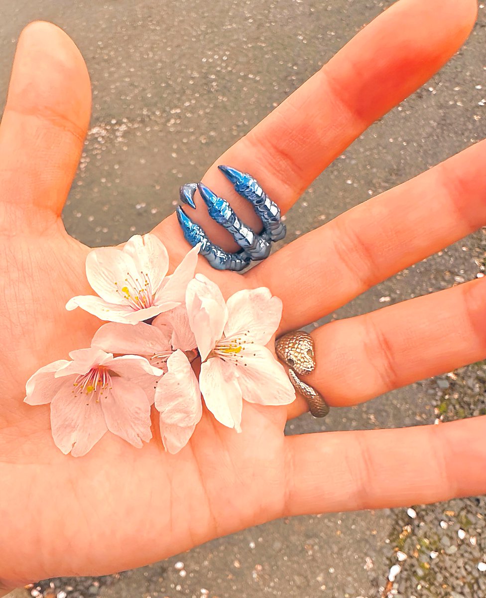 kA_Ka_KaRaSu tweet media