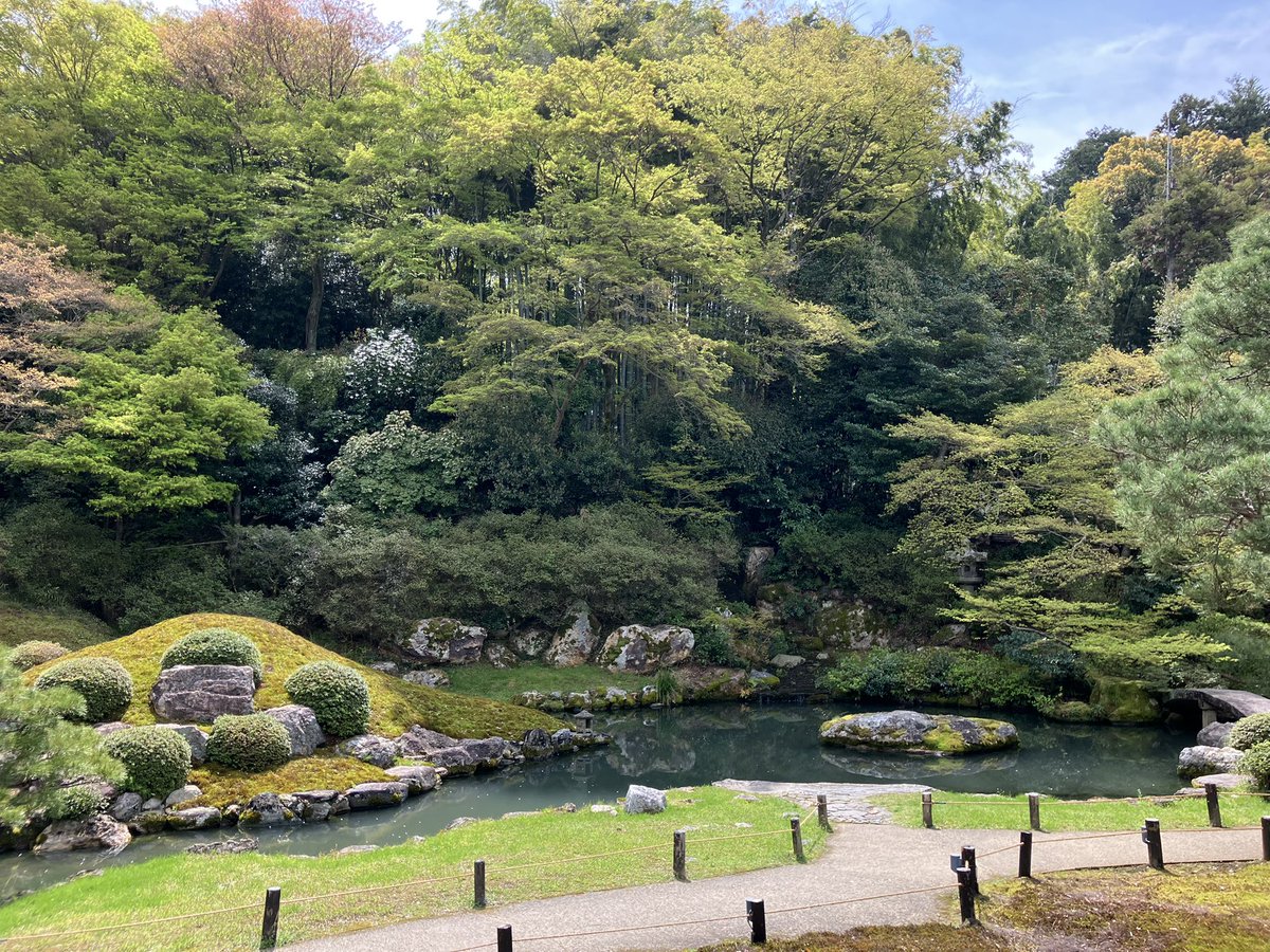 でんでん tweet media