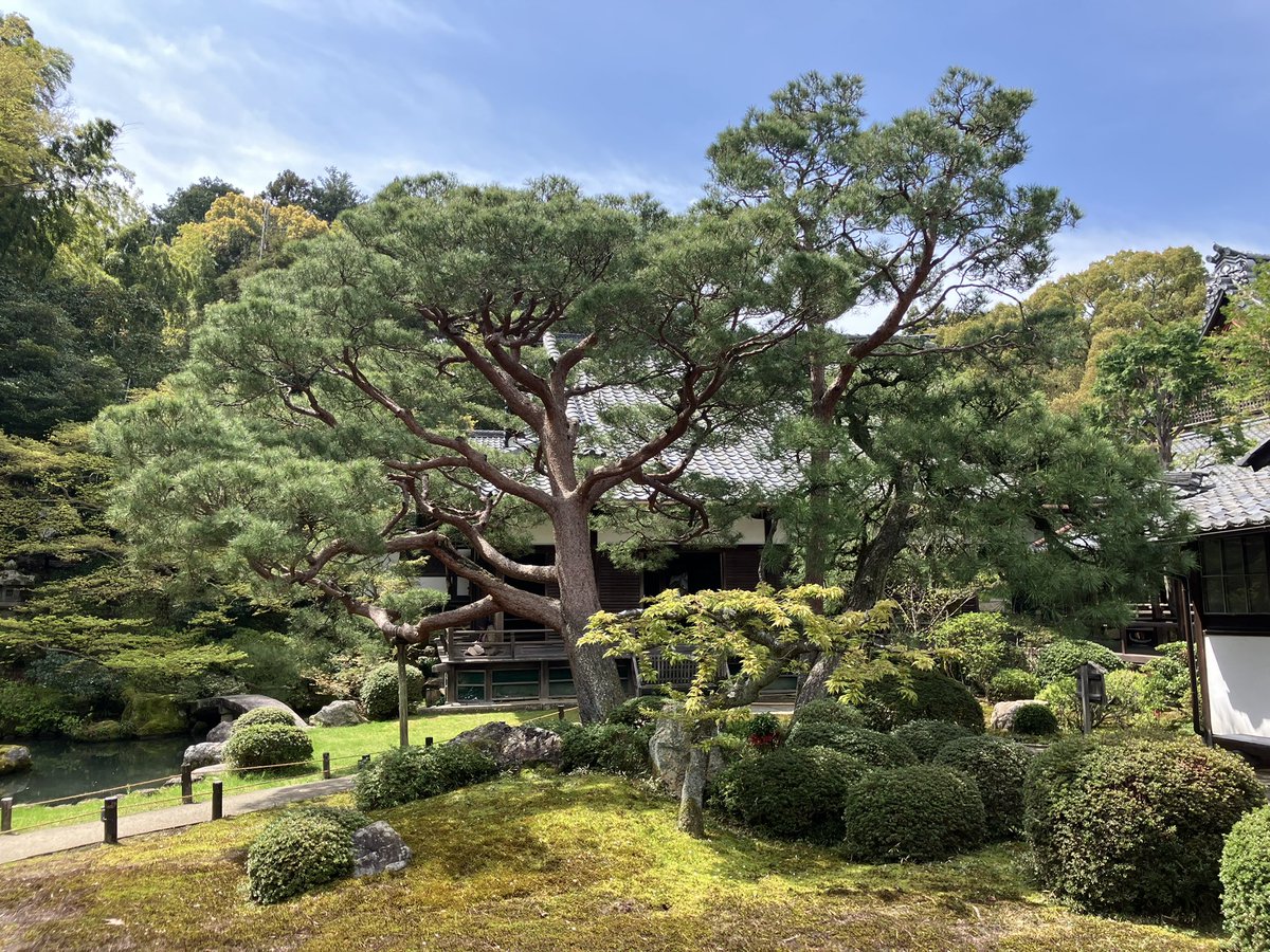 でんでん tweet media