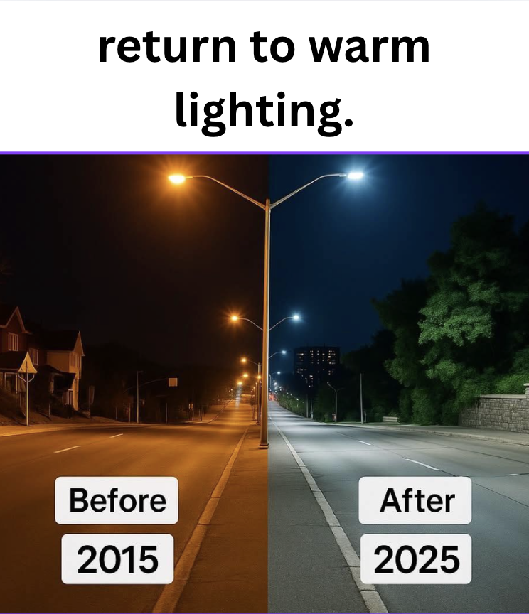 Carnivore Aurelius ©🥩 ☀️🦙 tweet media