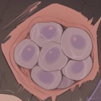 ๐ธ ๐ฝ ๐ฐ โ ๐ฝ ๐ธ ๐โ Priestess Of The Void tweet media