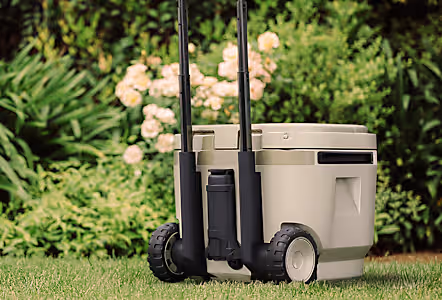 Mukul Sharma tweet media