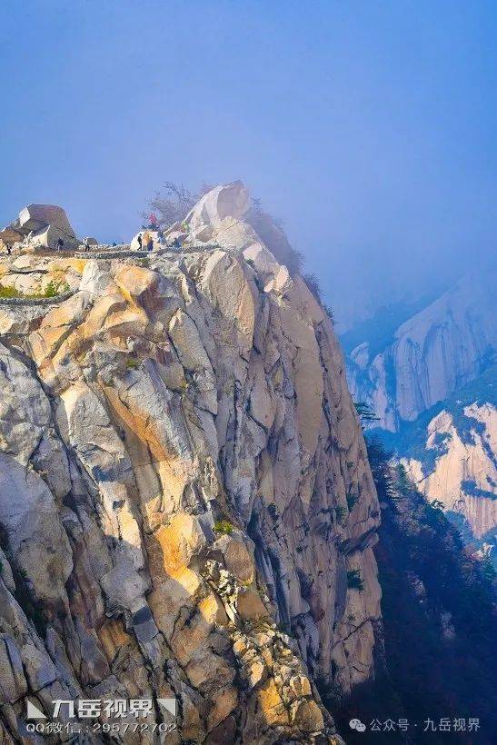 esteban carrazan tweet media