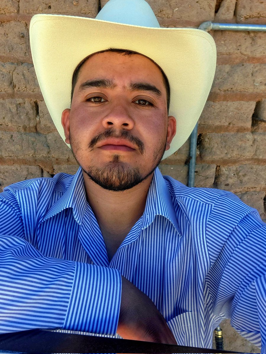 Alejandro tweet media