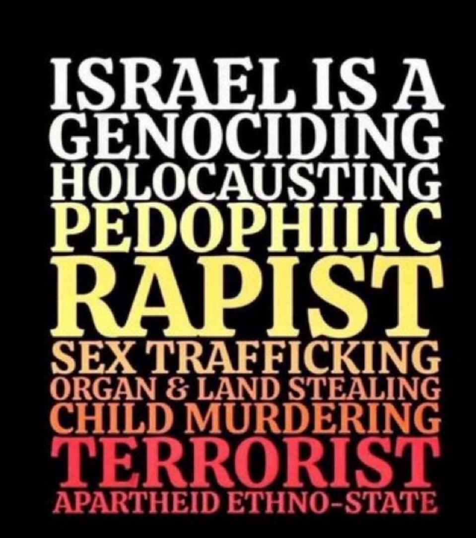 Mic 🇵🇸 tweet media