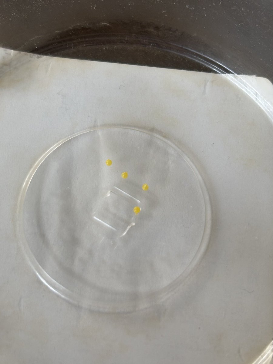 v.v.v MyK tweet media