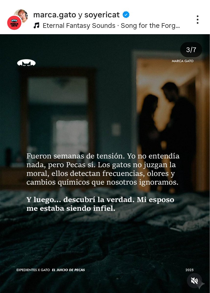 Sorgina ∴ tweet media