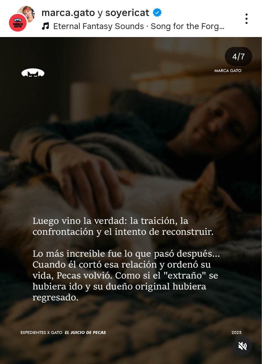 Sorgina ∴ tweet media