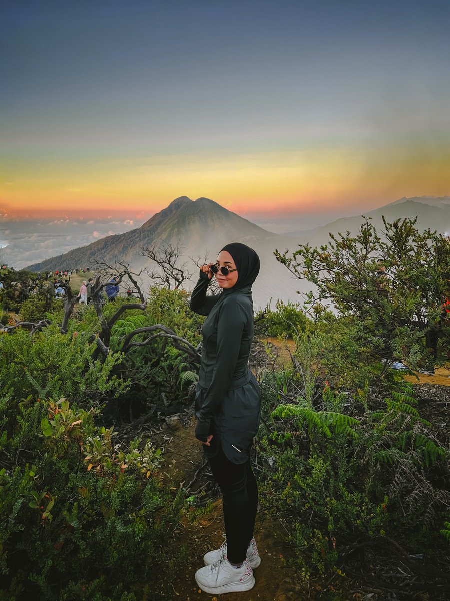 Aleina tweet media