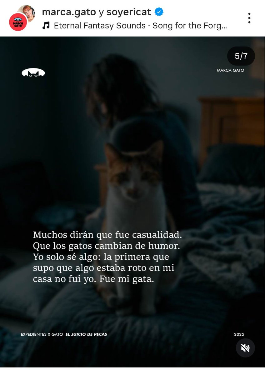 Sorgina ∴ tweet media