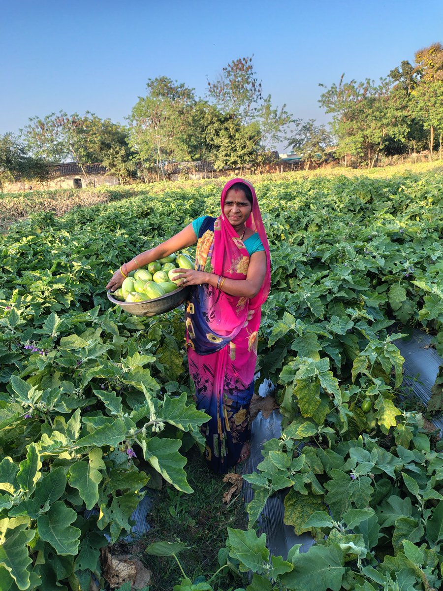 In small villages such as Mau Masaniya in Madhya Pradesh, DS Group’s CSR team, in partnership with Manjari Foundation, is working to transform farmers’ lives through its Entrepreneurship Development Program.

👇Read to know more -

thecsruniverse.com/articles/from-…