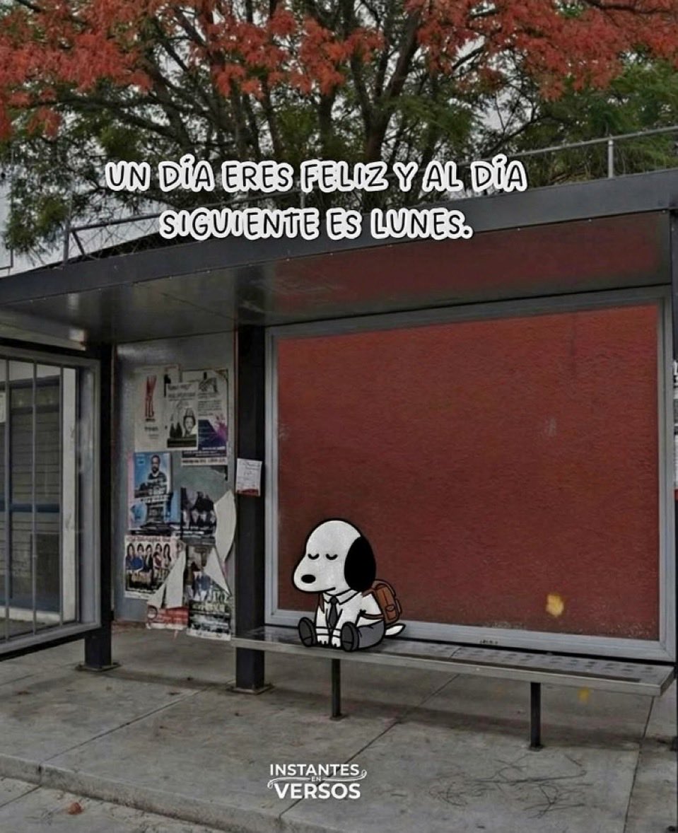 ᑭᗩKè tweet media