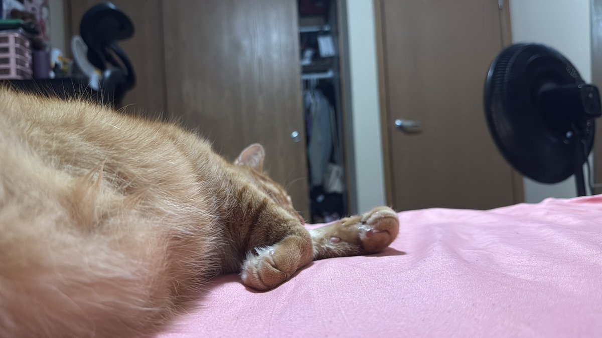 AB3 RayZ tweet media