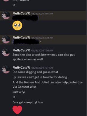 lowpolysylveon's tweet photo. I was gonna wait till I found more but I decided this will be enough for now 

To give context 
In 2024 nova also known as fluffy cat at the time was outed for having a sexual relationship with a 16 year old on vrc

They tried deleting their DMs but for some reason- https://t.co/wL0IWtzXhs