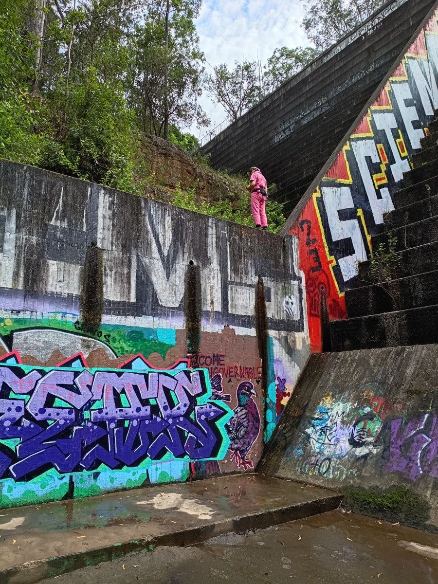 Rock Fox tweet media