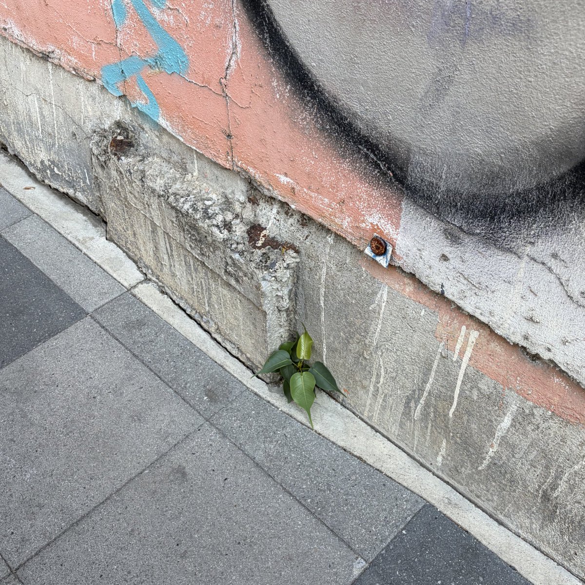 walk wander tweet media