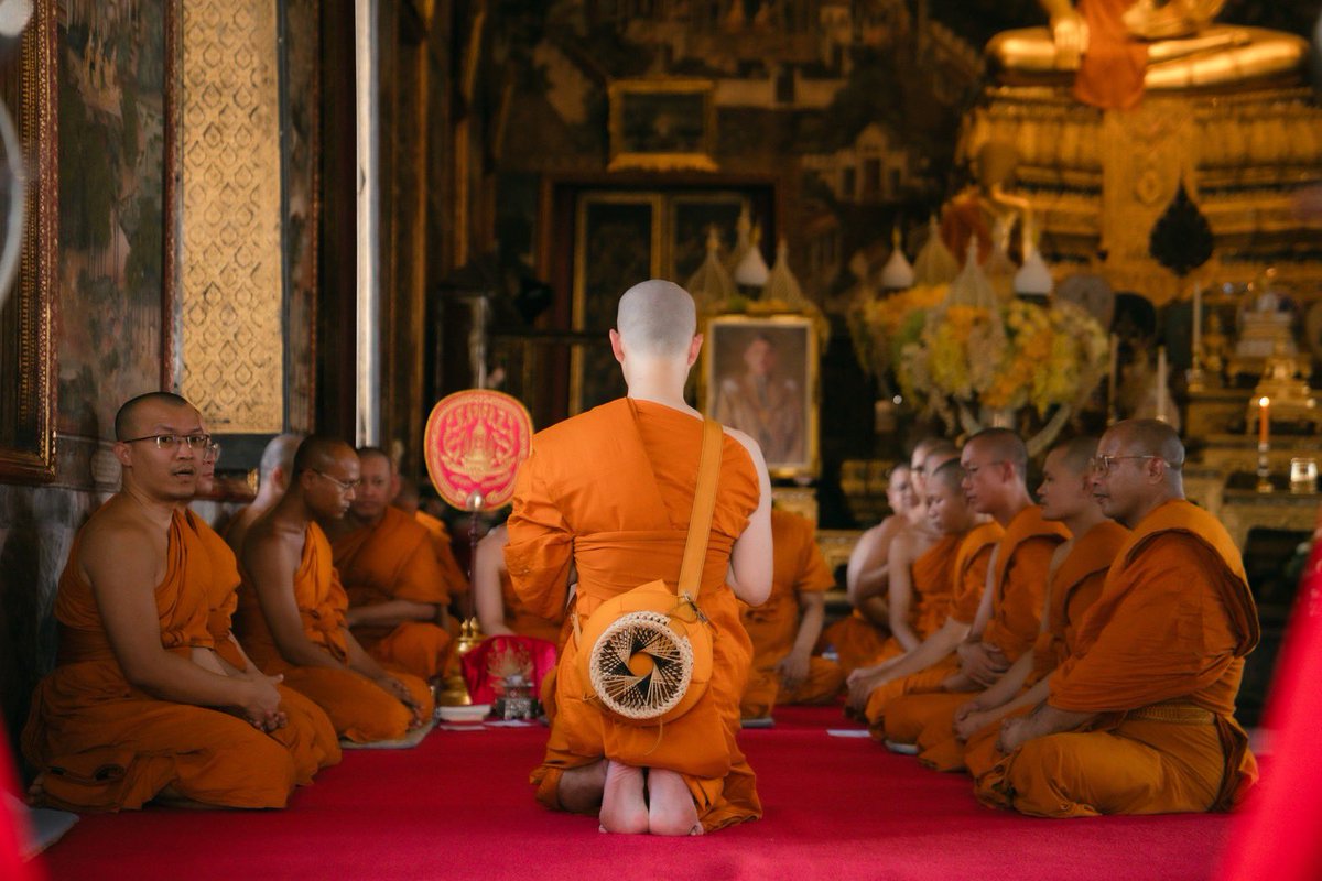 Fourteenchannel tweet media