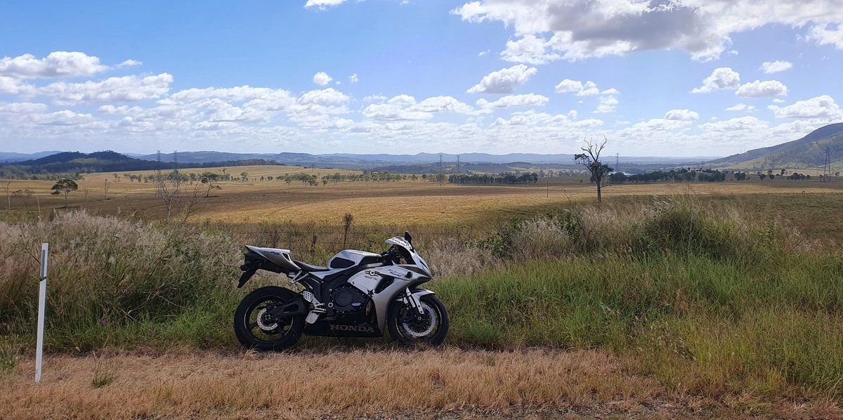 Alex Luck tweet media