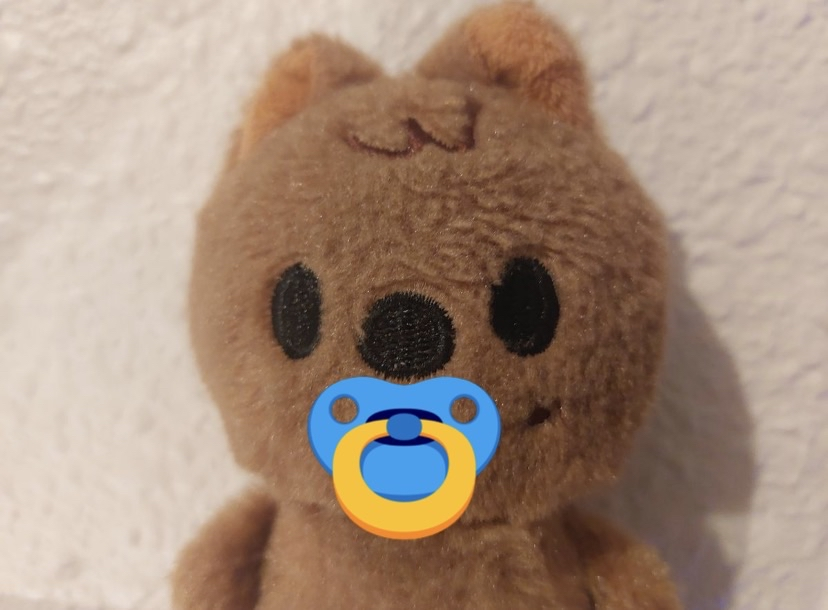 everyone quiet baby quokka has something to say