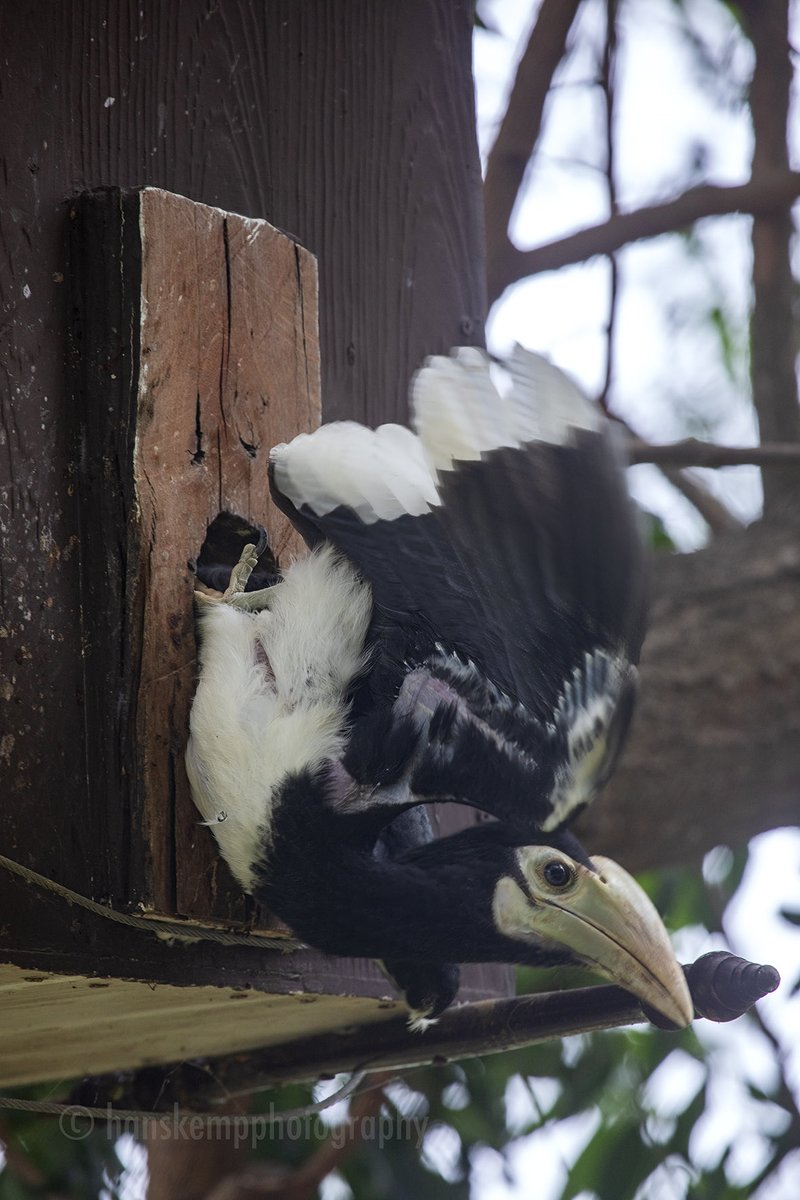 Hans Kemp tweet media