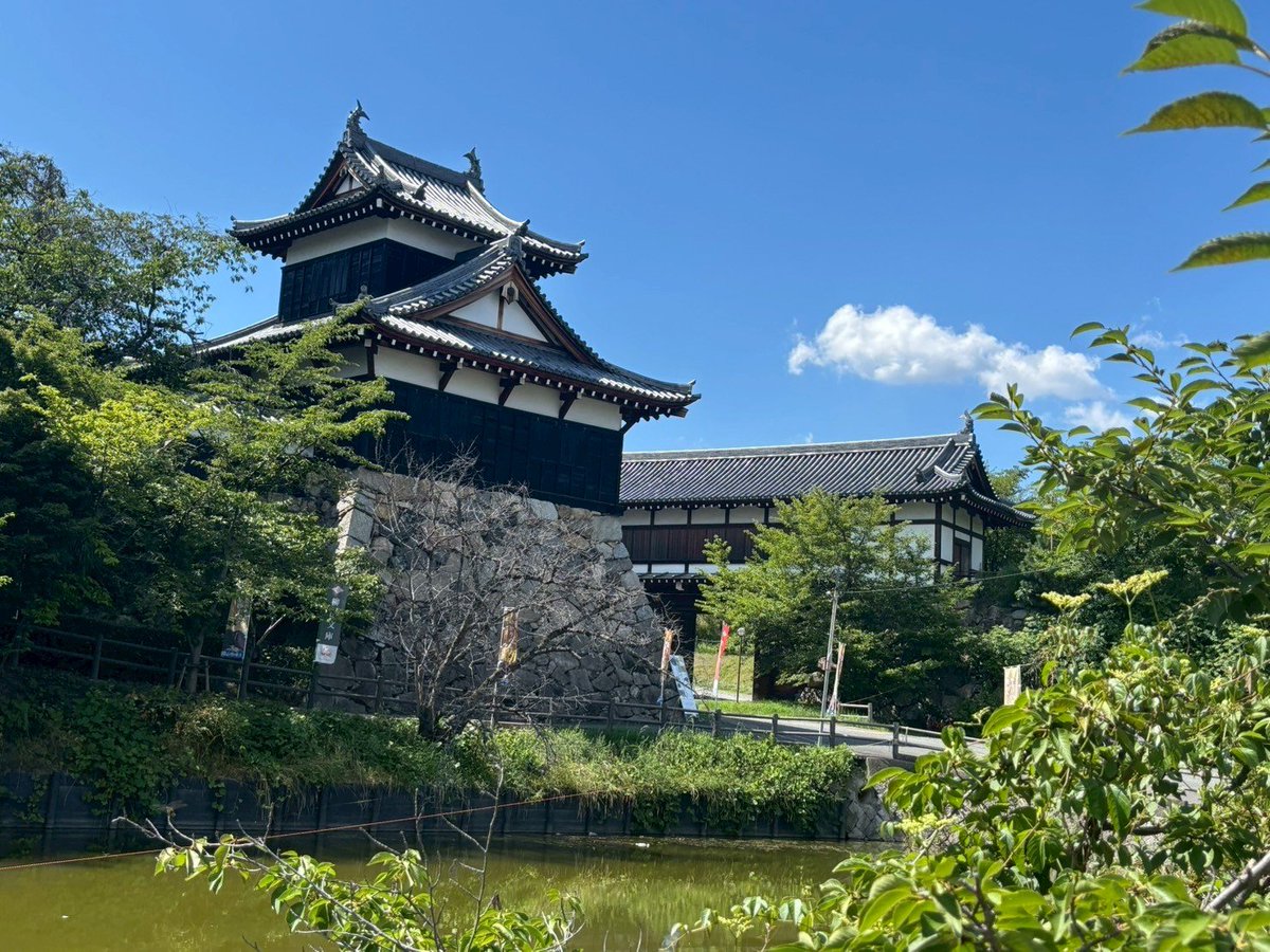 レイぜろ tweet media