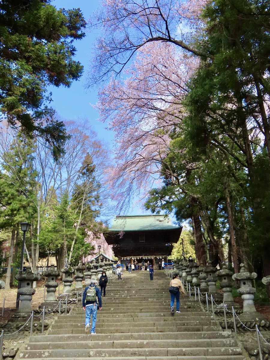 k__w0_'s tweet photo. 仙台東照宮の桜 https://t.co/hyxOhgMSE8