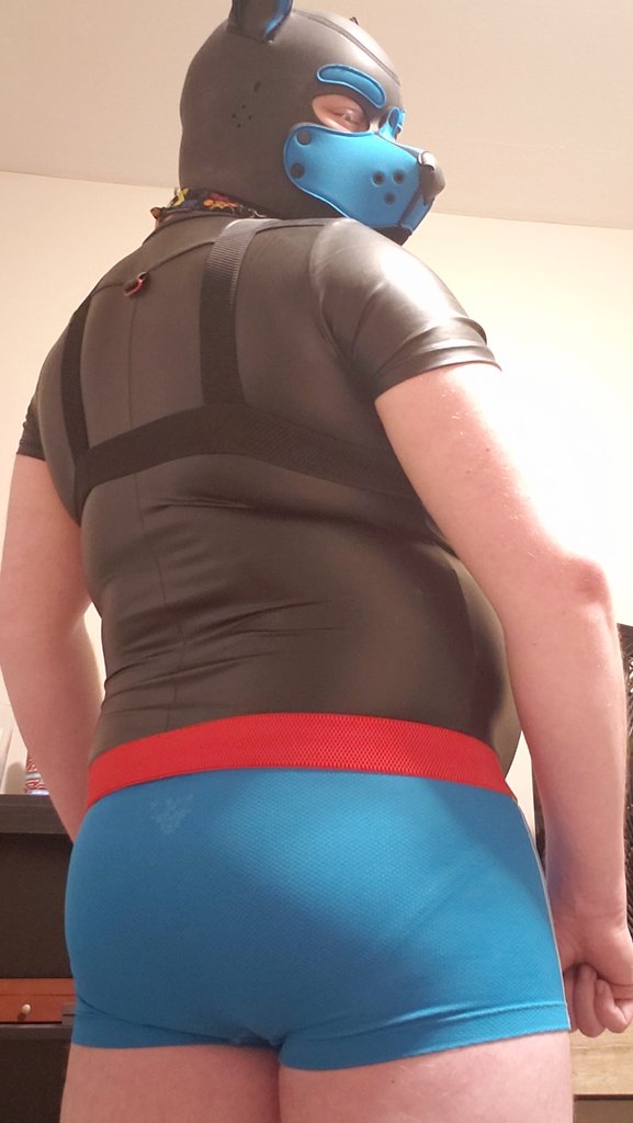 Overfed Buck tweet media