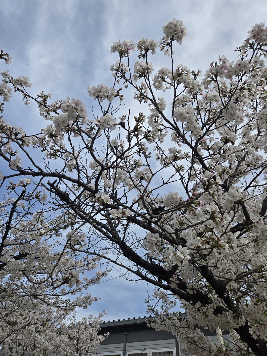 chikumaru　マリカワールド tweet media