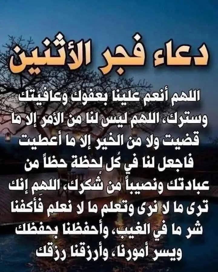 ركن الفن العامري tweet media