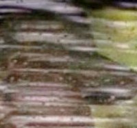 MichaelScott tweet media