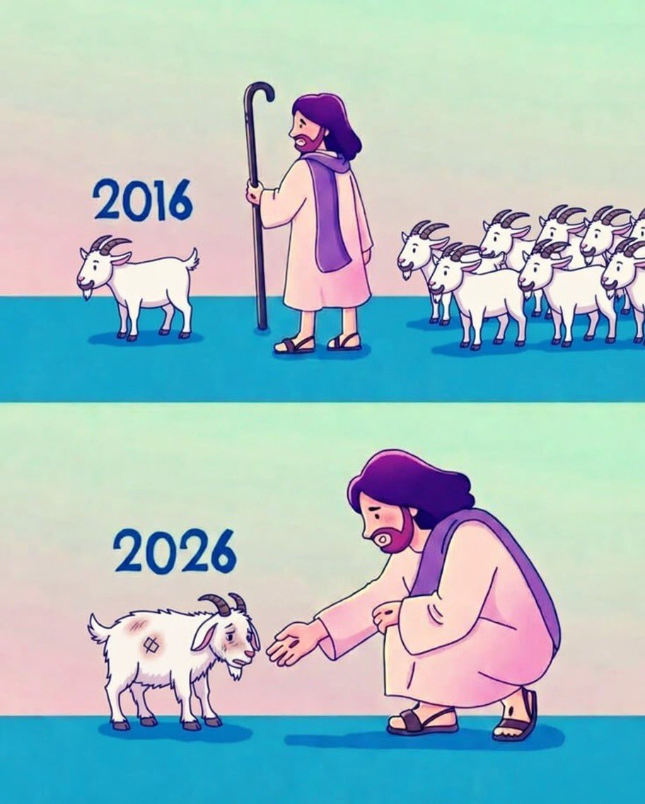 Jesvin George tweet media