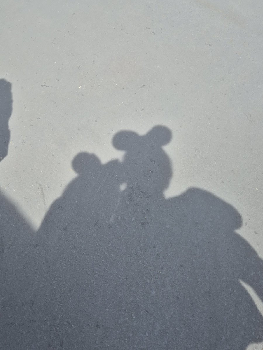 Cath ケス 캐스 tweet media