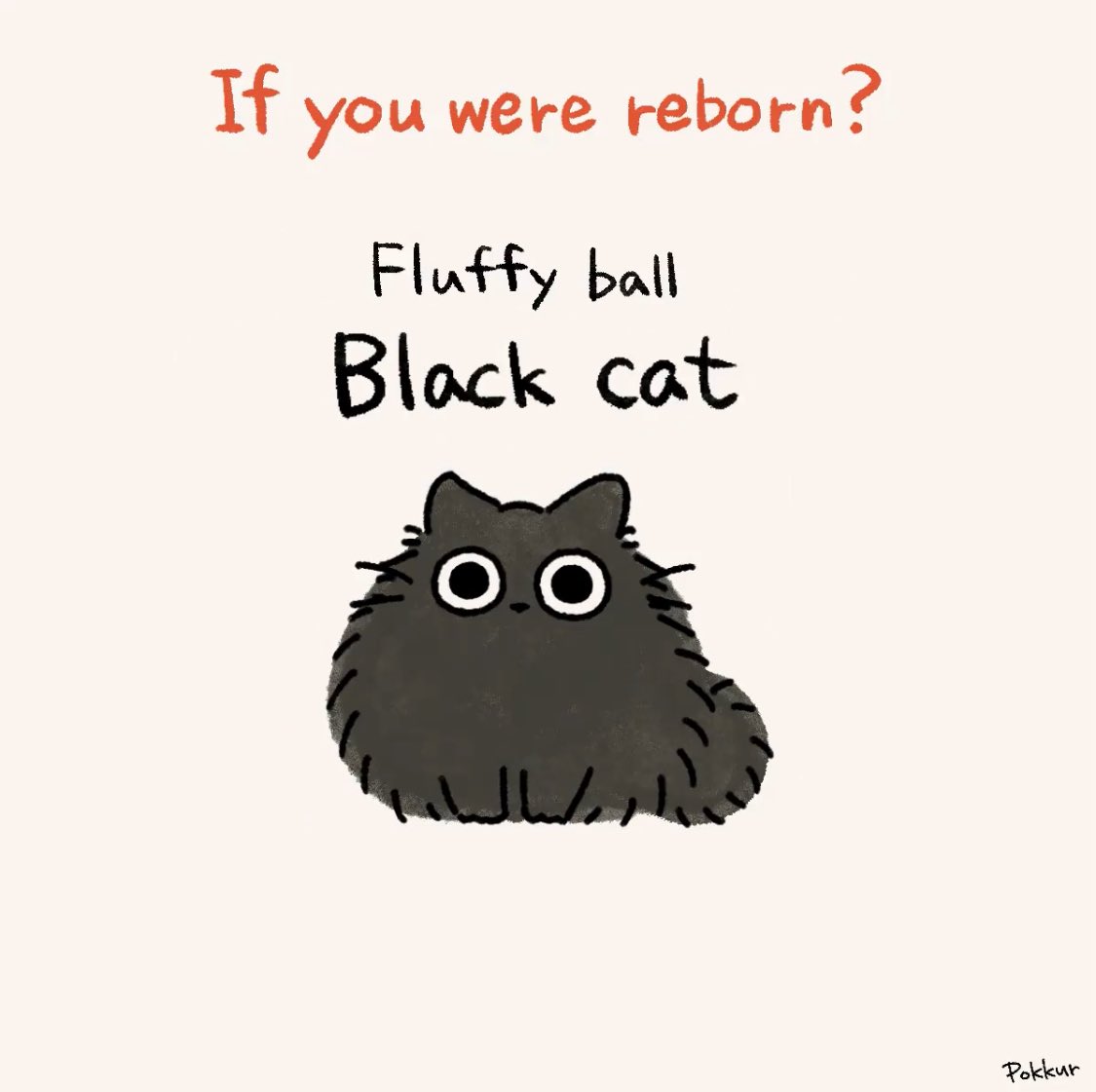 Kazura~ 🐯🗝️【IRIAM US】 tweet media