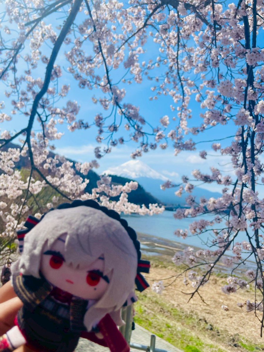 でざキャン△【Design×Camp】🗻富士山が見えるグランピング tweet media