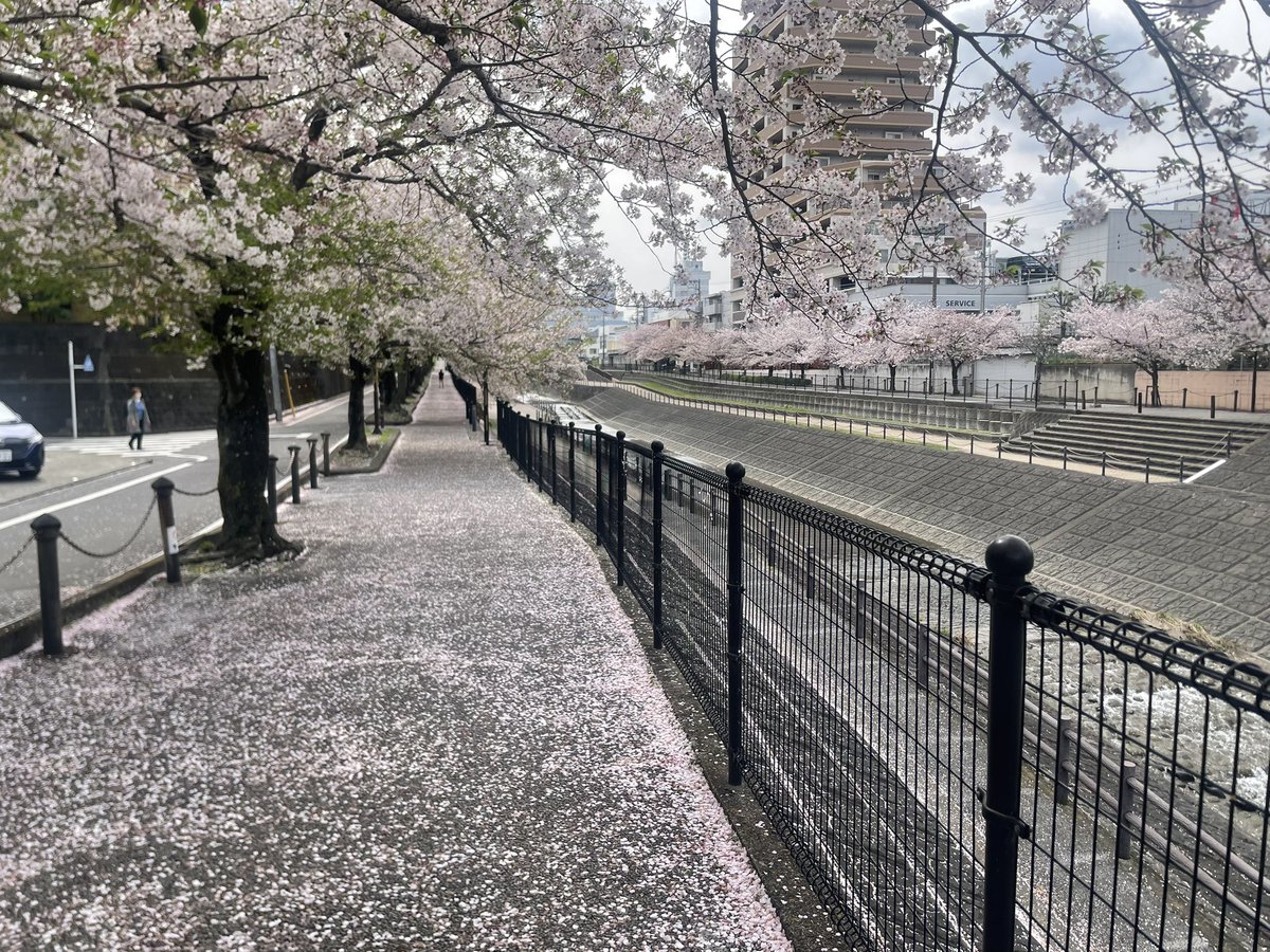 ガチャ@革命軍 tweet media