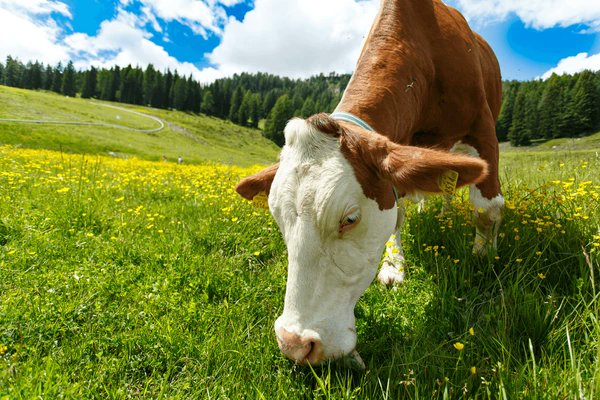 Sama Hoole tweet media