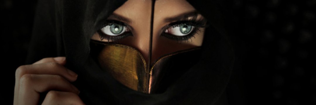 البياض و السمنة للنساء مدح عظيم عند العرب و قد وثق الشعراء هذا كثير جدا.
لكن
 الزمخشري خالف هذا المذهب و قال :

لا أعشق الأبيض المنفوخ من سمن

لكنني اعشق السمر المهازيلا

إني امرأ أركب المهر المضمر

في يوم الرهان ،، وغيري يركب الفيلا