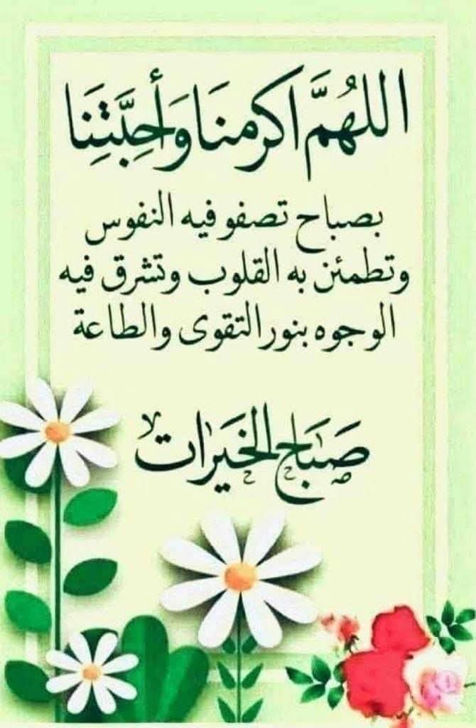 امنه كركي tweet media