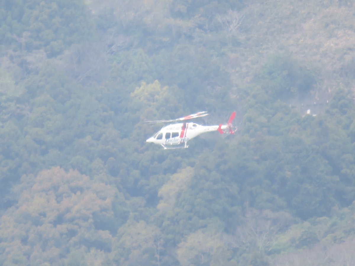 形而上のHEID tweet media