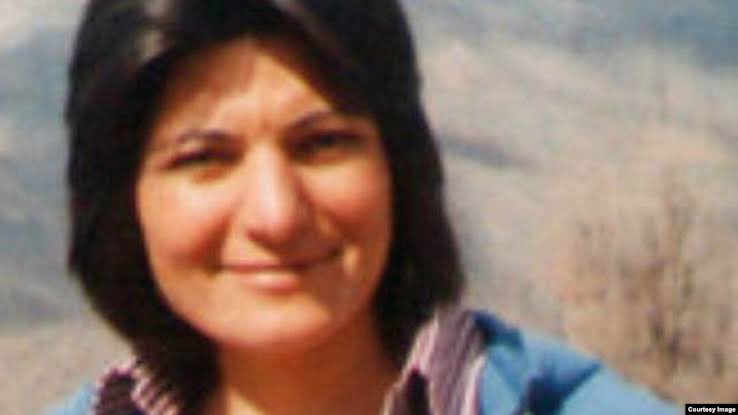 Peyman Haghighi tweet media