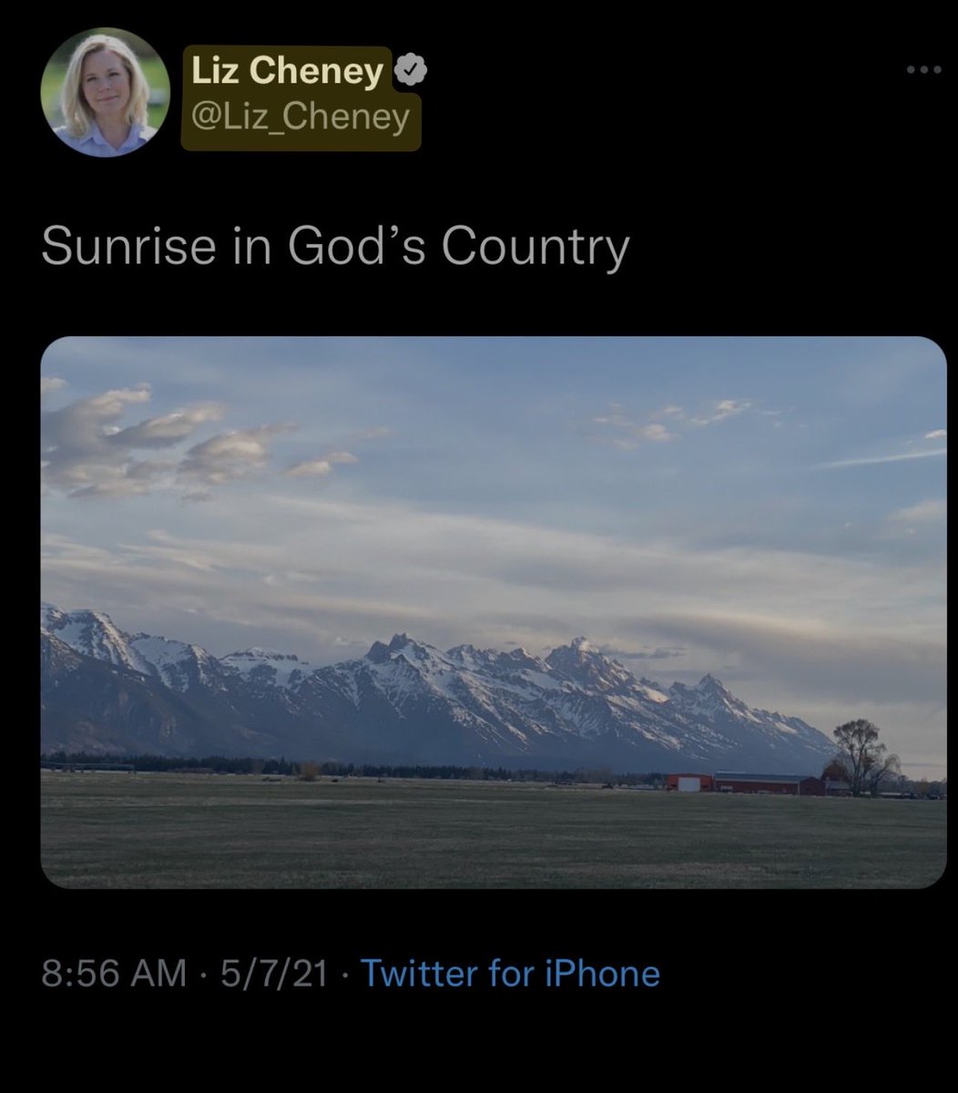 perceptionmgmt1's tweet photo. @Wilson__Valdez Gram planter is literally Liz Cheney lol https://t.co/dIpsxzD7gh