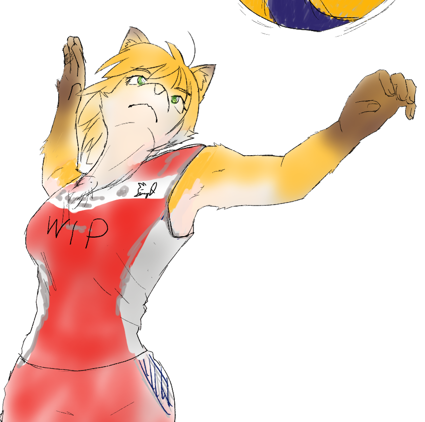 せーにゃ2 tweet media