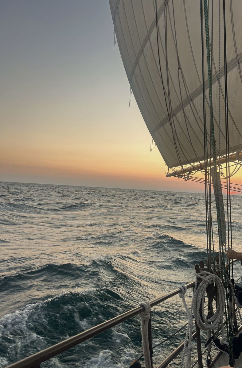 Delight Moments tweet media